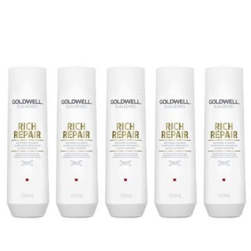 10x Goldwell Dualsenses Rich Repair Restoring Shampoo 250ml